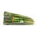 Folha de Pandan congelada (COCK) 200g