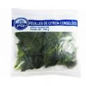 Hoja de Lima Congelada (PSP) 100g