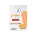 Helado sabor melón cantalupo (BAMBOO TREE) 60g