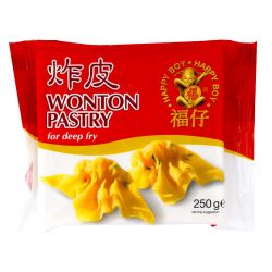 Pasta wonton para freír...